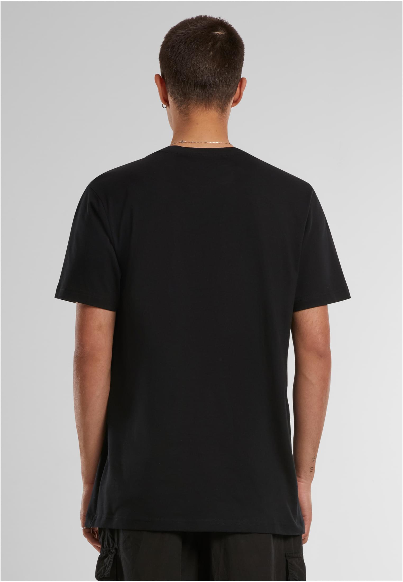 American Life Arizona Tee white XXL - workoutbrands.com