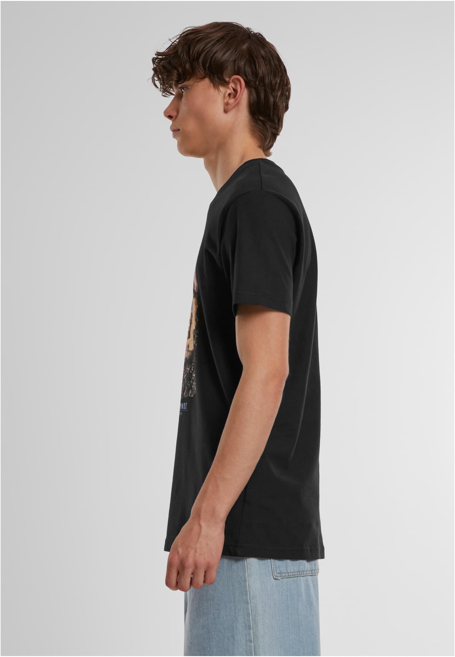 American Life Mount Roushmore Tee white XXL - workoutbrands.com