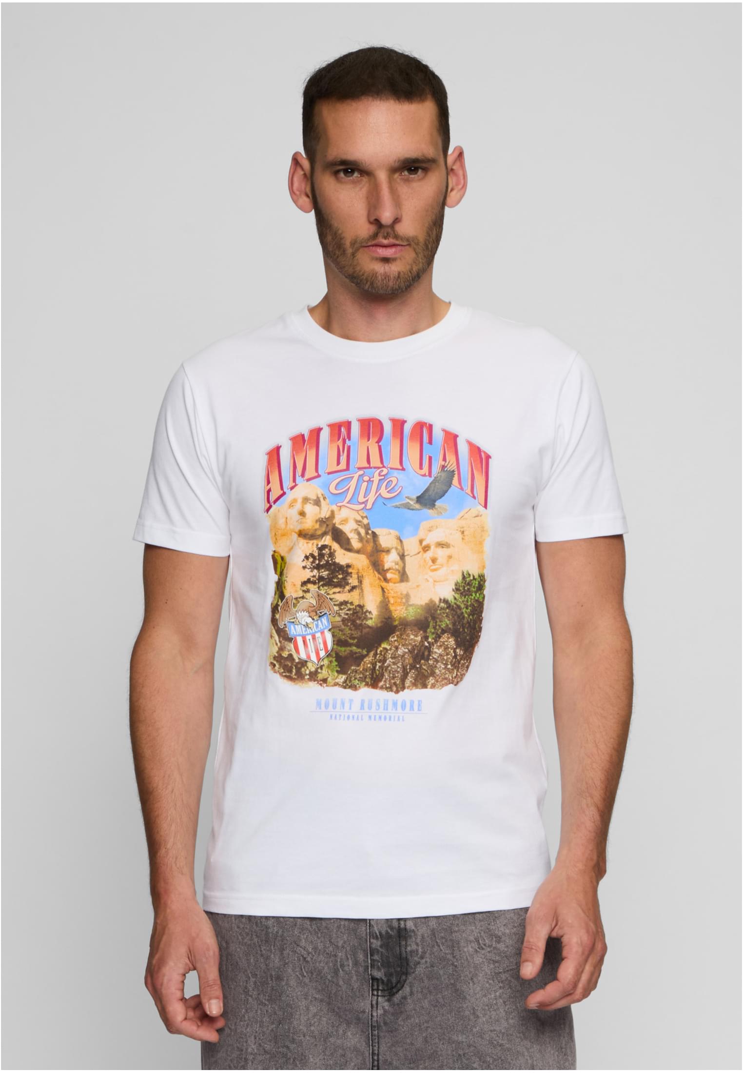 American Life Mount Roushmore Tee white XXL - workoutbrands.com