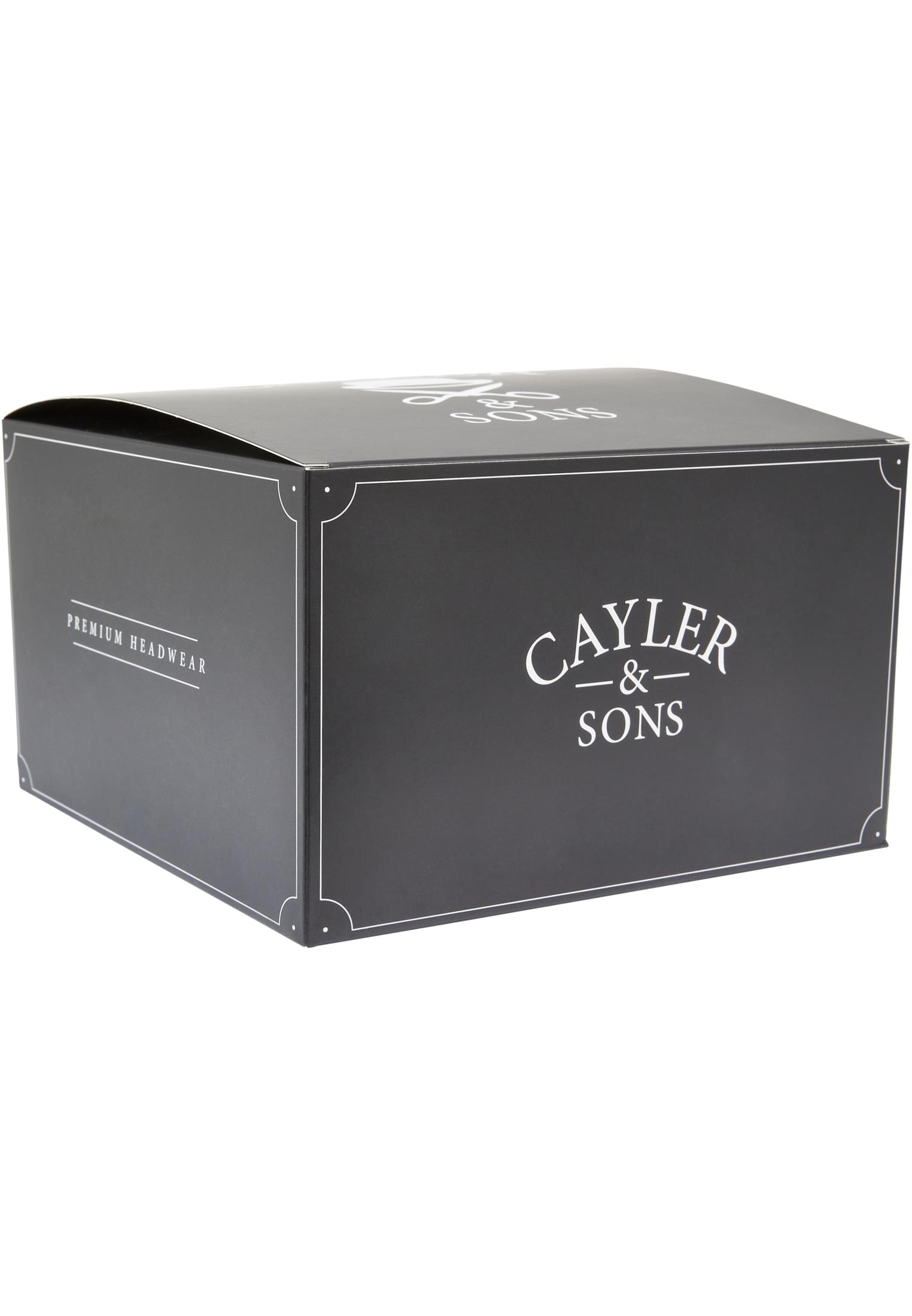 Scatola portaoggetti Cayler & Sons