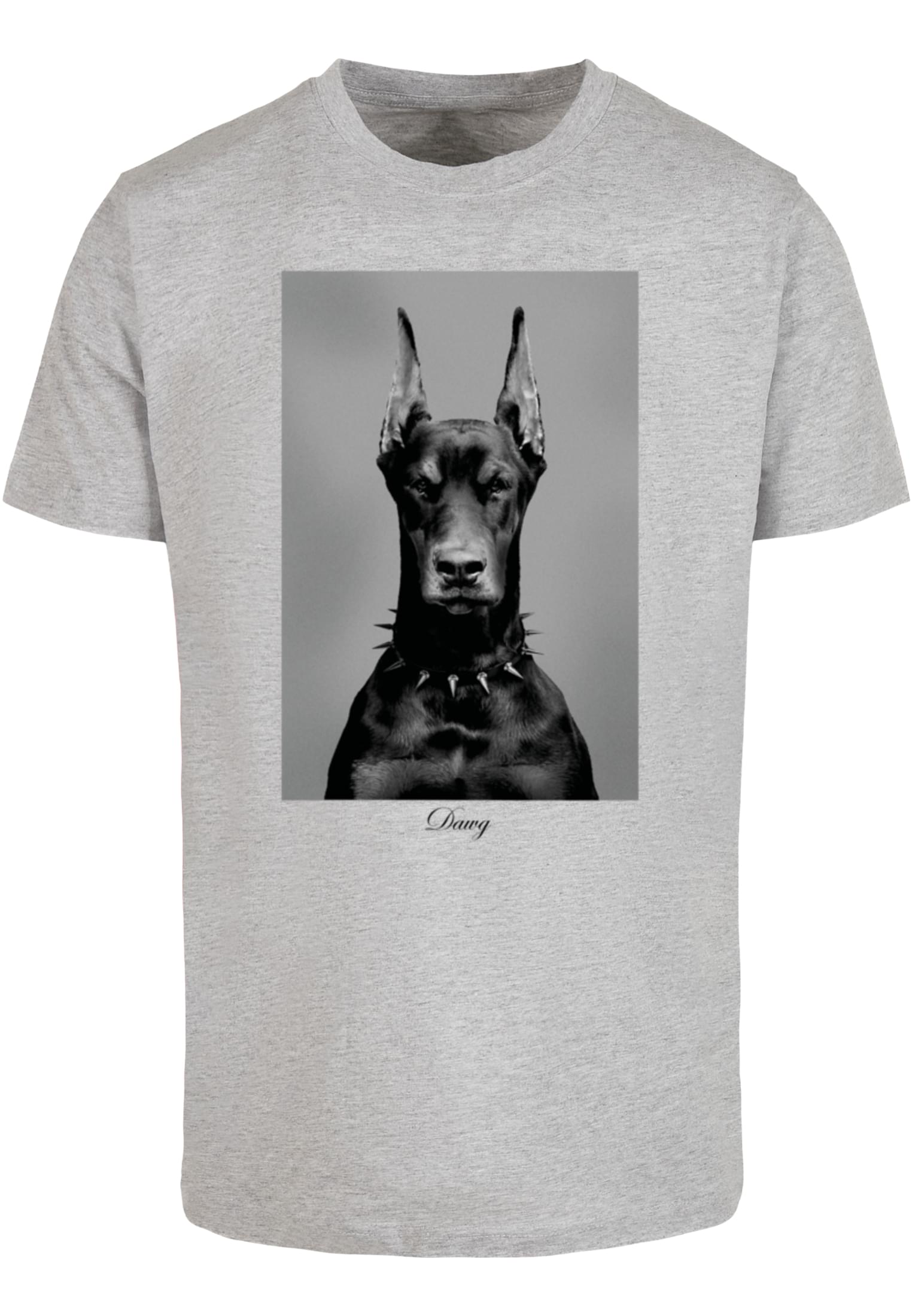 Dawg Tee heather grey XXL - workoutbrands.com