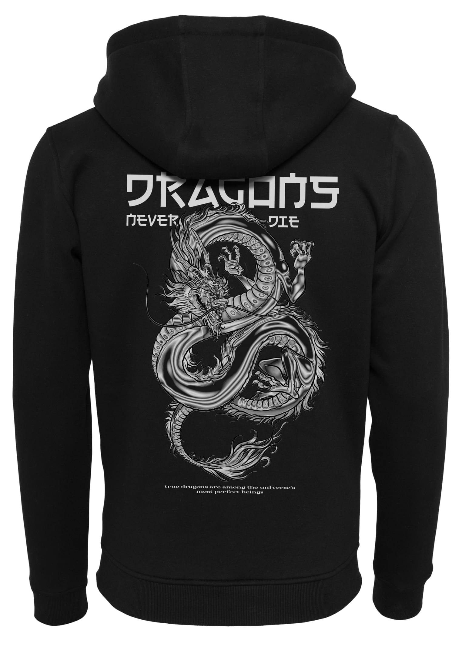 Dragons Never Die Heavy Zip Hoody black XXL - workoutbrands.com
