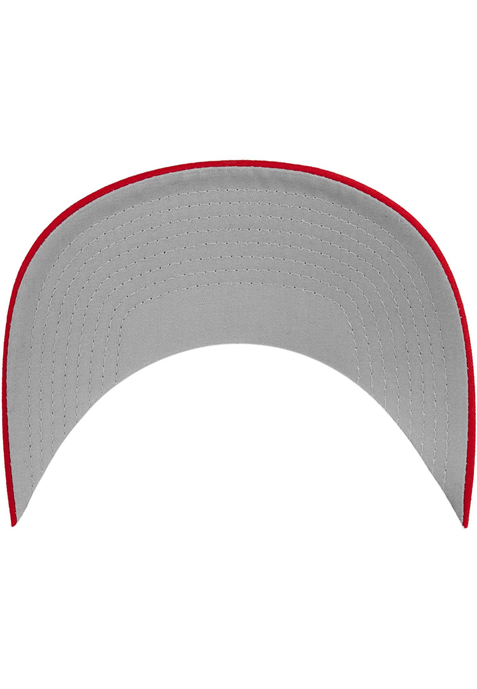 Flexfit Mesh Trucker 2-Tone L/XL - workoutbrands.com