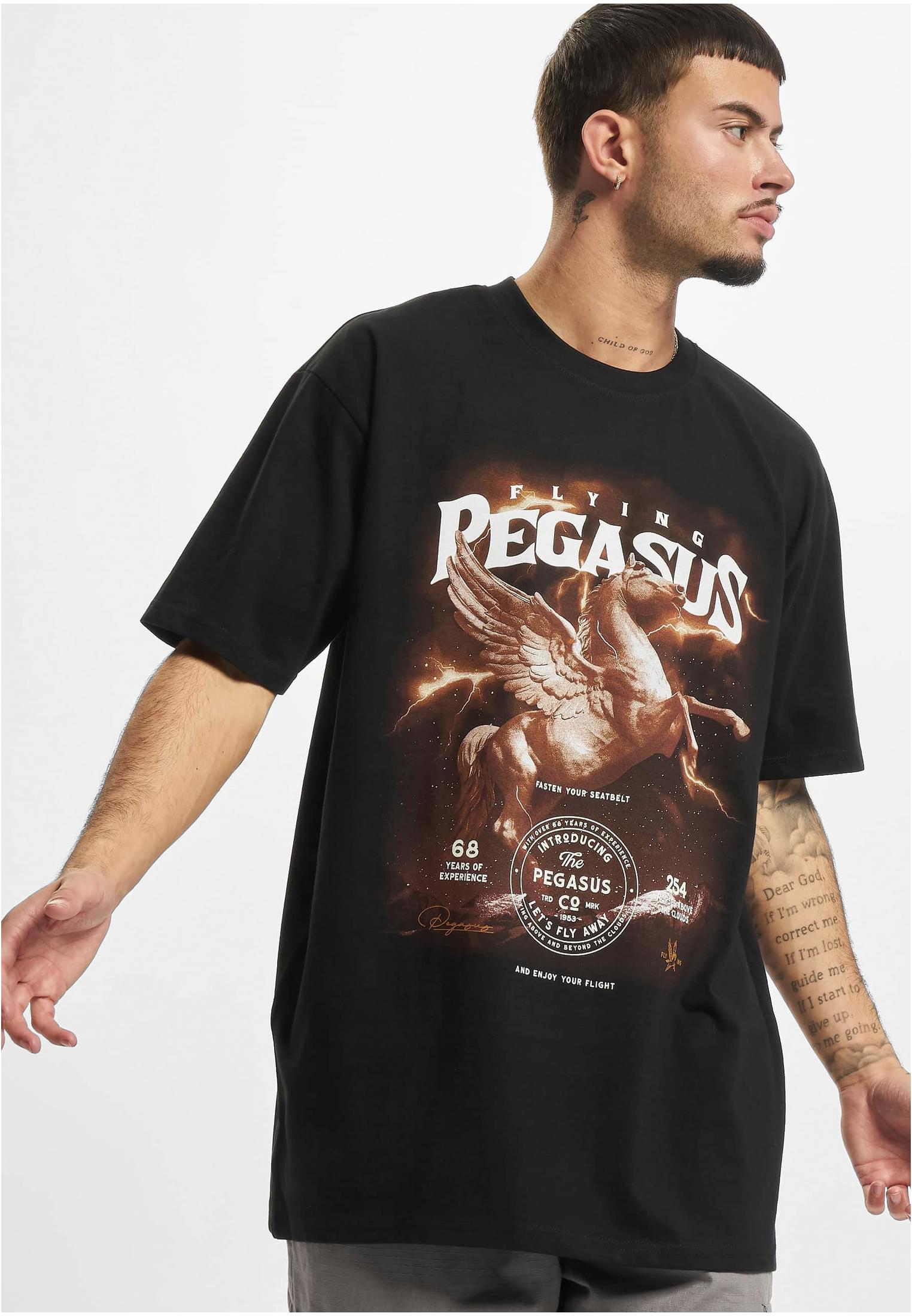 Pegasus Oversize Tee black XXL - workoutbrands.com