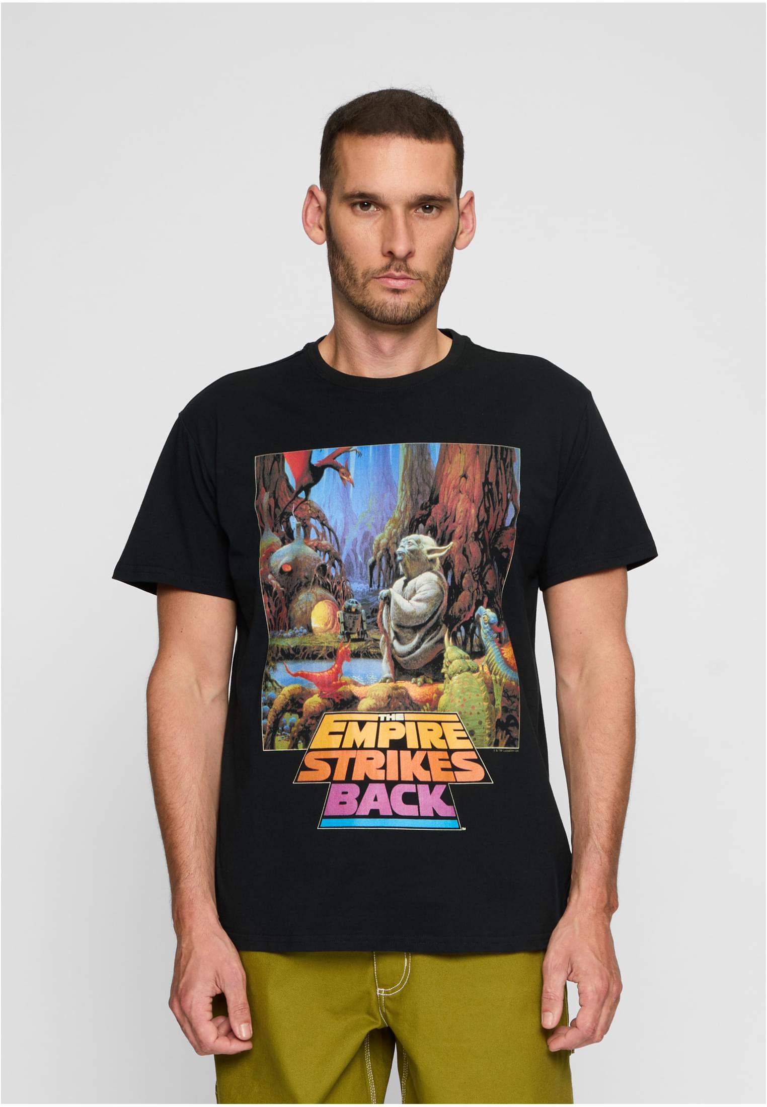 Star Wars Yoda Poster Tee black XXL - workoutbrands.com