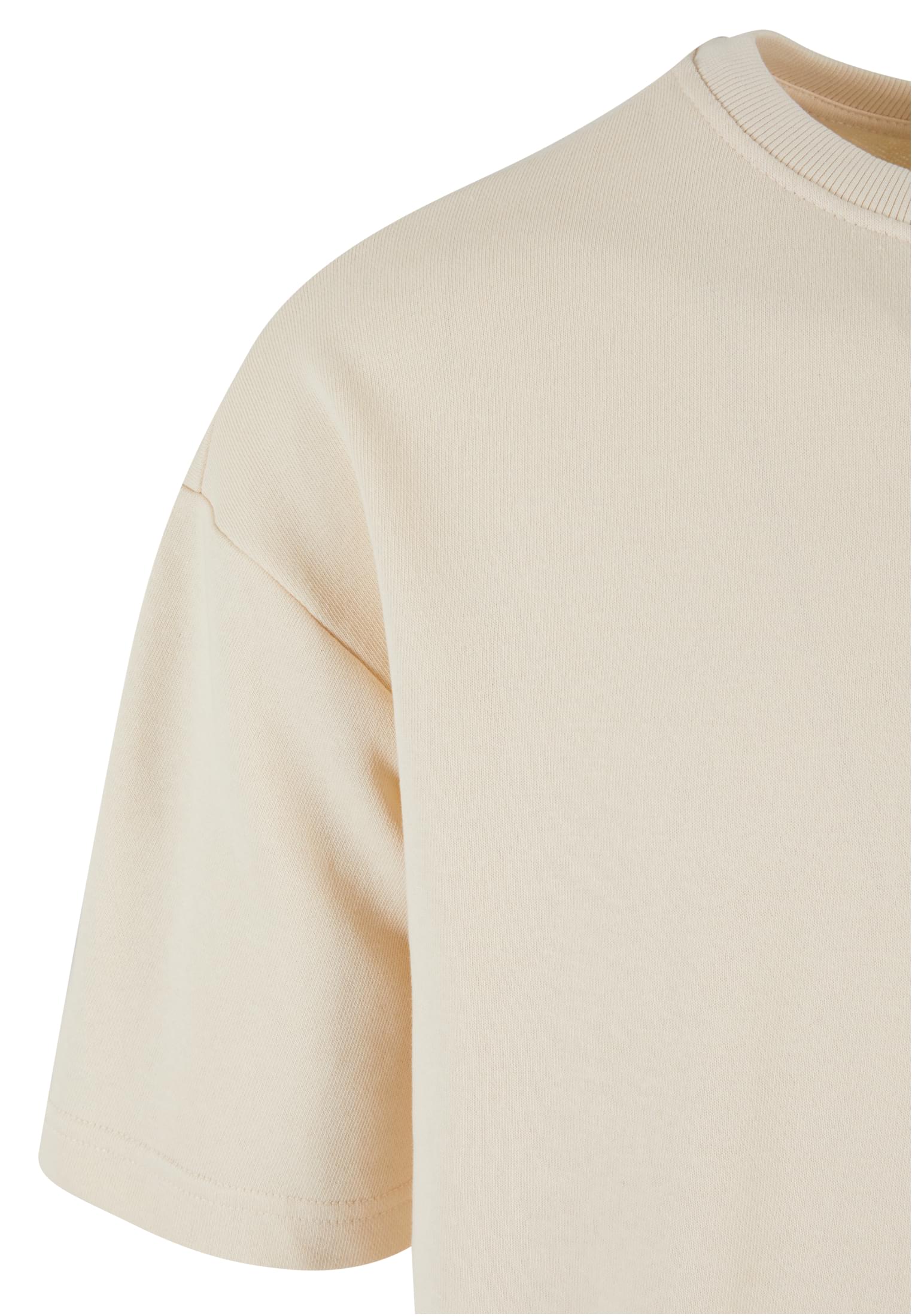 UC Light Terry T-Shirt Crew