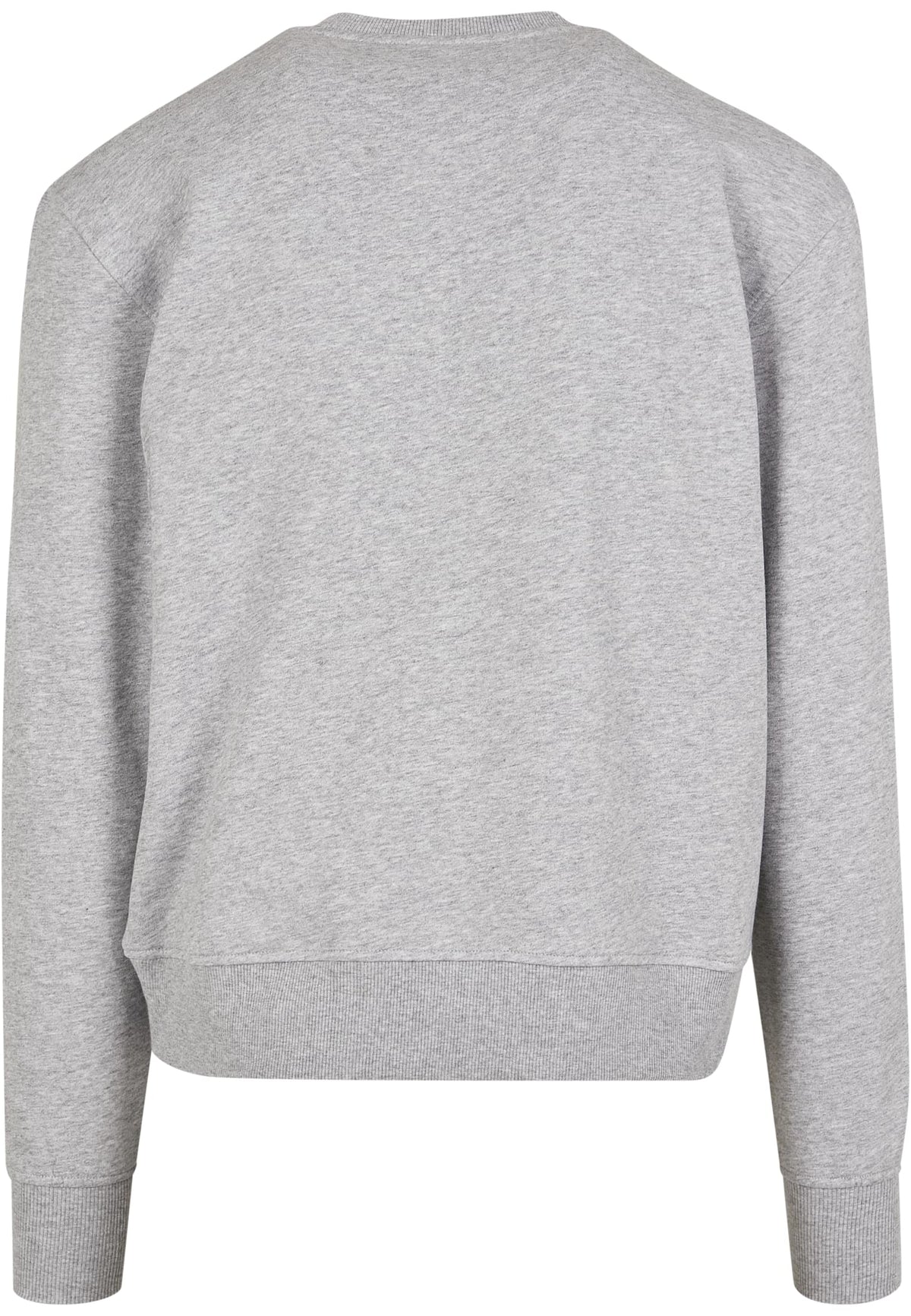 Premium Oversize Crewneck - workoutbrands.com