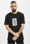 WL Compton Card Tee fugleæg grøn XXL