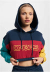 Sudadera con capucha DNGRS 4C