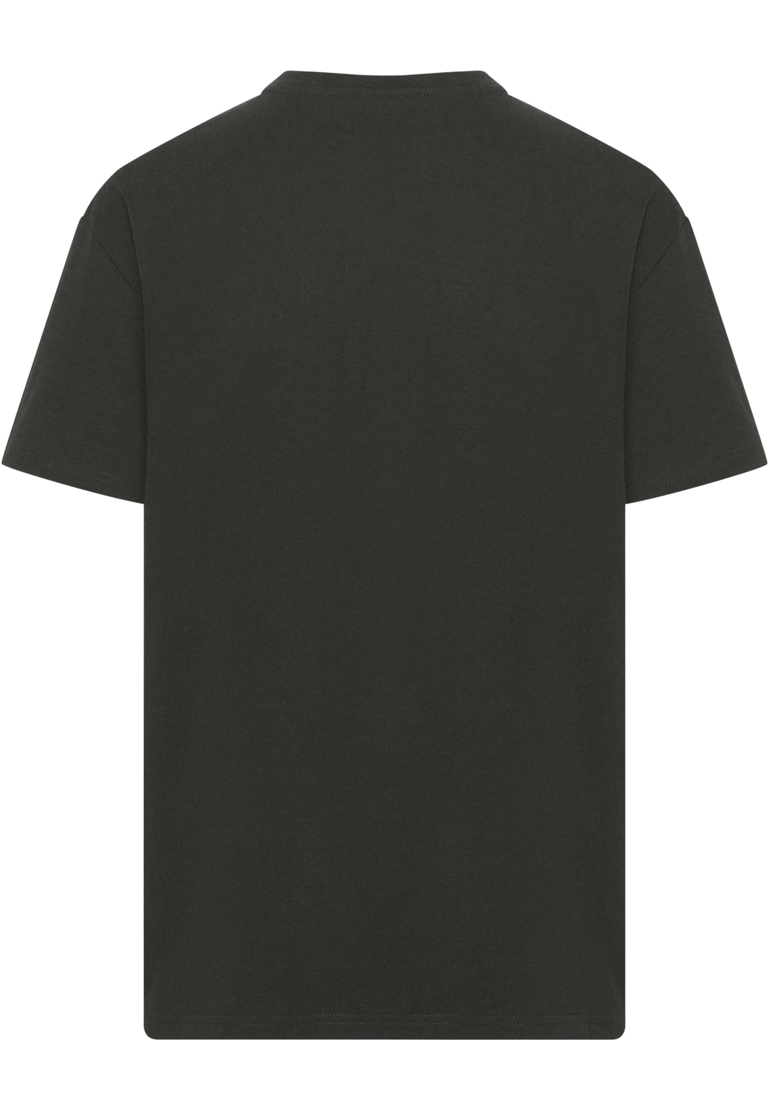 MC Jurassic Park Distressed Logo Oversize Tee