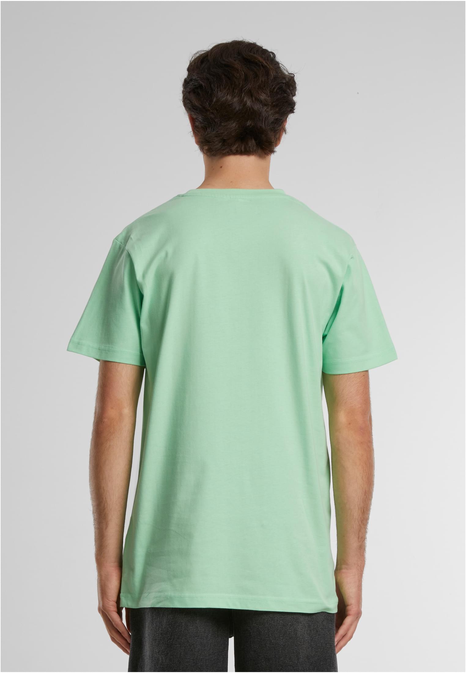 Maglietta MT Flamingo girocollo