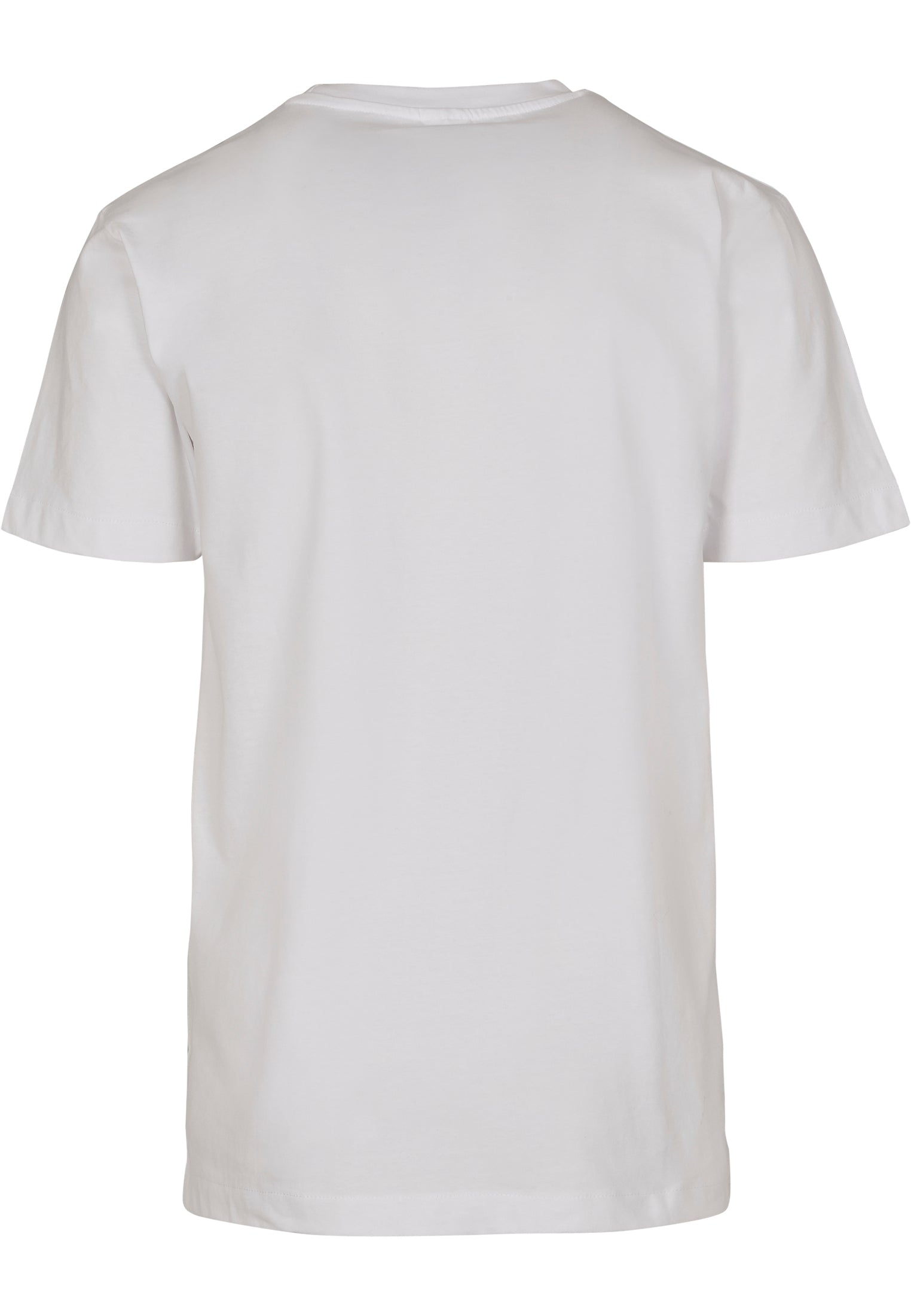 MT NASA Logo Embroidery Tee