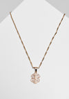 UC Small Dollar Necklace