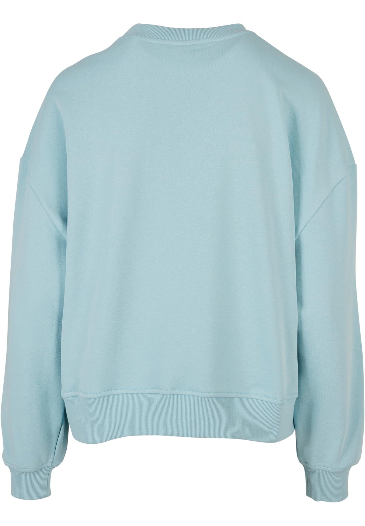 Ladies Oversized Crewneck - workoutbrands.com