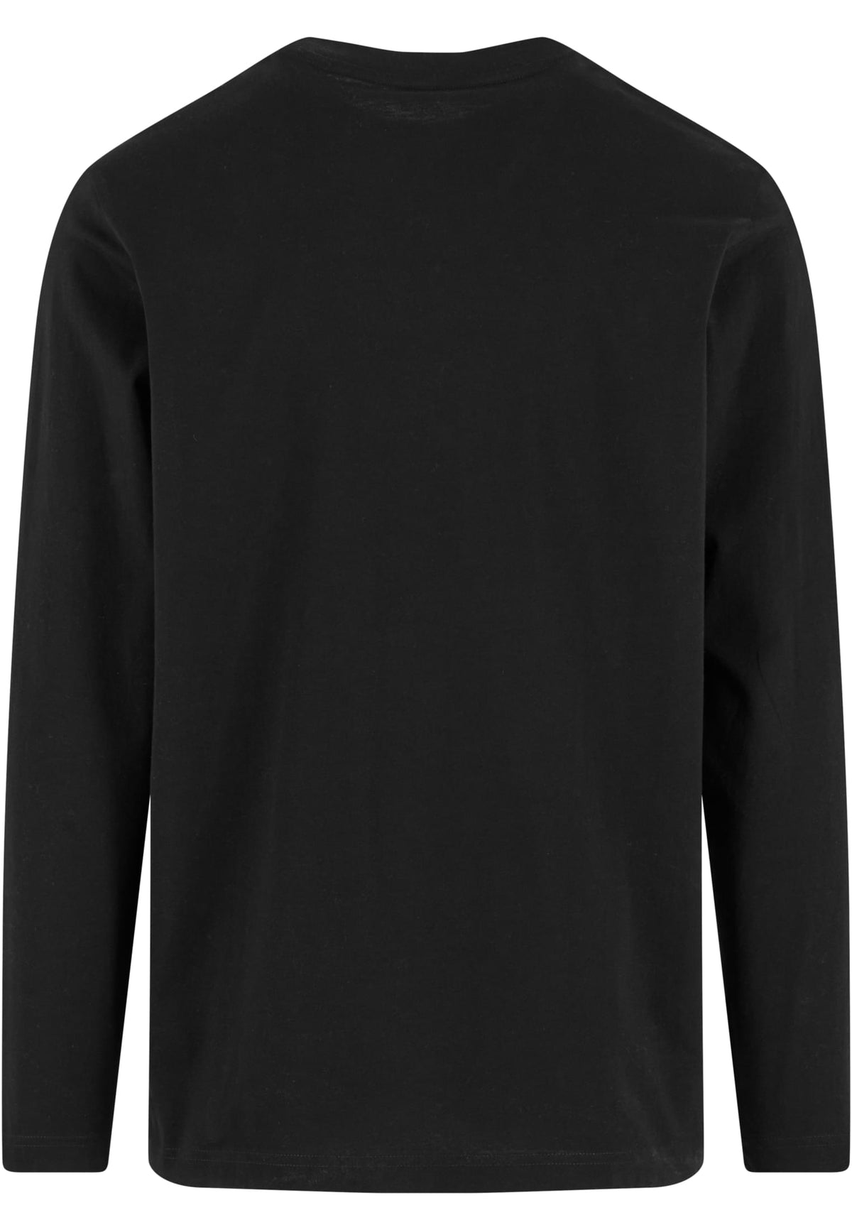 Regular Fit Longsleeve - workoutbrands.com