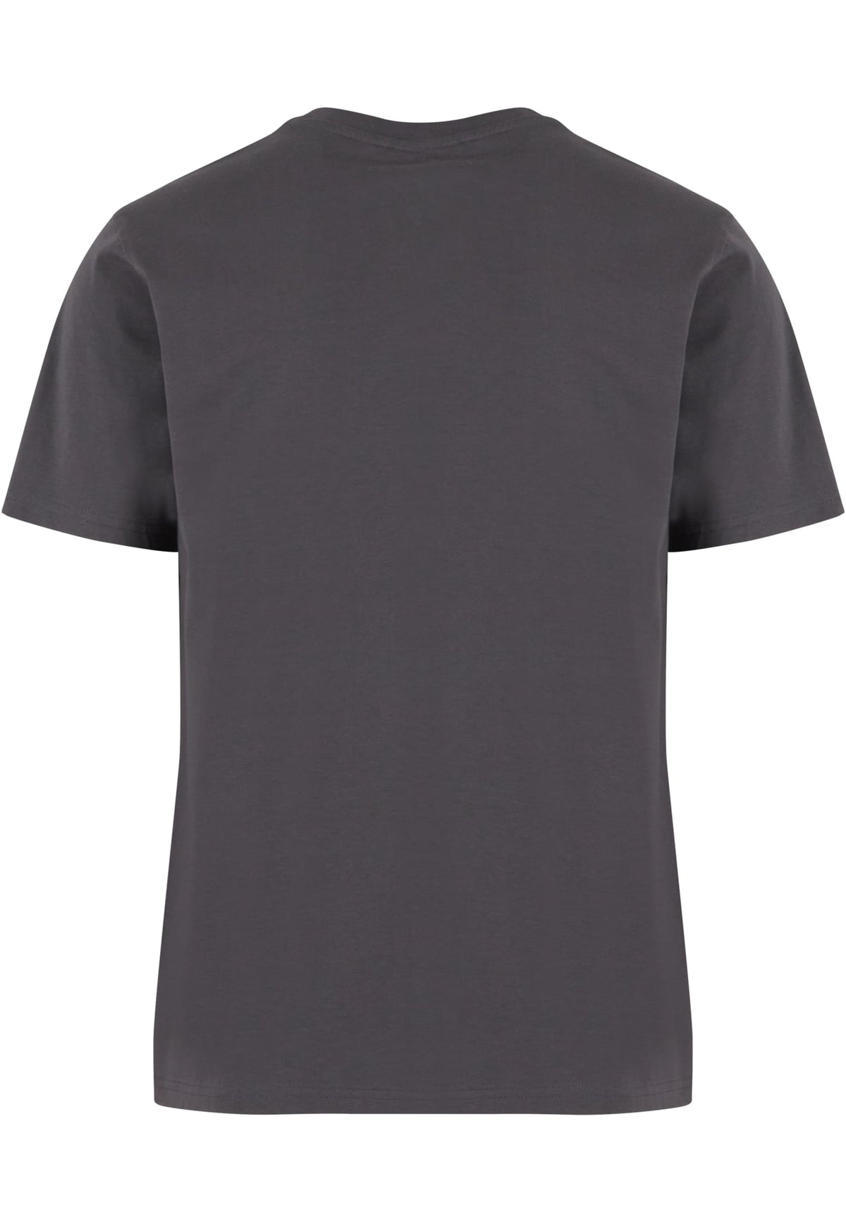 Basic Regular Fit Tee - workoutbrands.com
